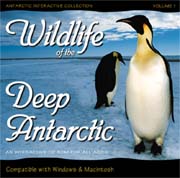Wildlife of the Deep Antarctic